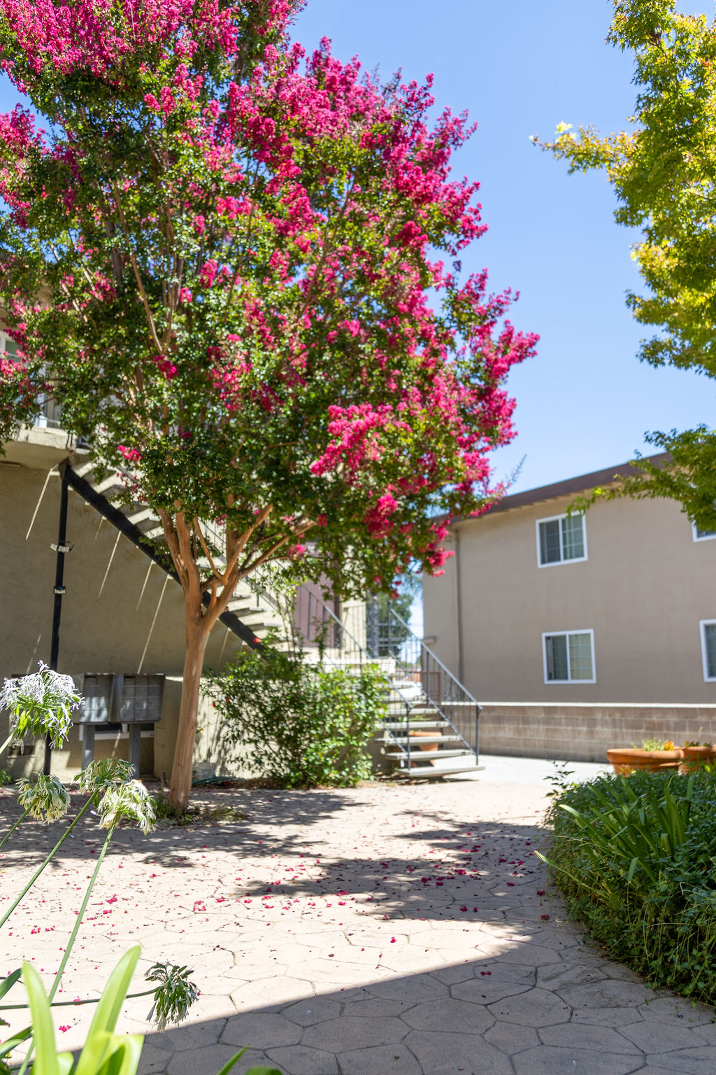 2080 Fruitdale Ave photo 5
